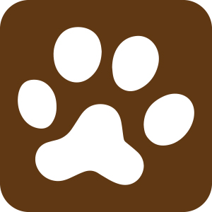 Pictogramme Conseils pour animaux