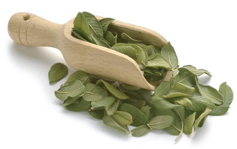 Image Phytothérapie et Herboristerie